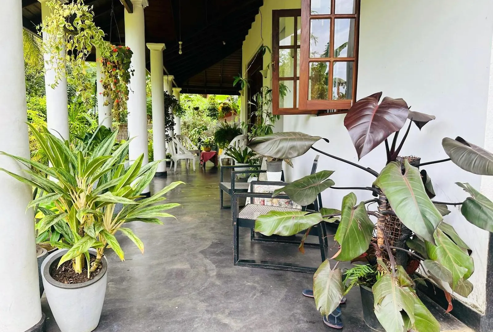 Homestay szállás Two-Room Cottage Kandy